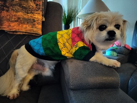 Dream Dog Luxury Inspired Dog Button Sweater Multi-Color Stripe Clothes Cat Clothes Apparel Super Soft Pet Sweater, Perfect for Any Occusion, from Small to XX-Large