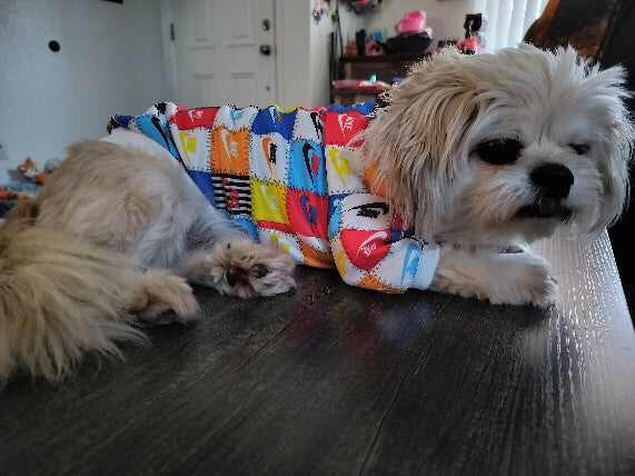 Dream Dog Luxury Desginer-Inspired Replica Dog Pullover Summer Shirt Outfit, Cat Clothes Apparel, Multi-Color Design, X-Small to XX-Large Parent ASIN: B0DYF6D2L2 Parent SKU: 0486-0013