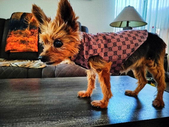 Luxury Designer-Inspired Replica Dog Padded Puffer Vest Dog Jacket Coat Clothes Quilted Pet Apparel, Brown or Blue, Small Medium Breeds, Sizes Small to 3XL