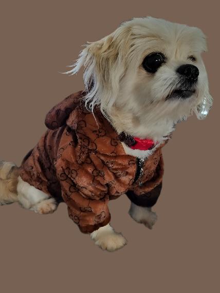 Dream Dog Hoodie Luxury Designer-Inspired Replica Dog Jacket Coat Zipper Easy On/Off Designer Inspired Ears and Lined Soft Jacket Design Warm Clothing Pink and Brown XS to 3XL