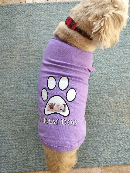 Dream Dog Luxury T-Shirt, Cat Kitten Dog Puppy Pet Clothes Apparel, Perfect for Everyday, Medium to 5XL. Medium Breeds