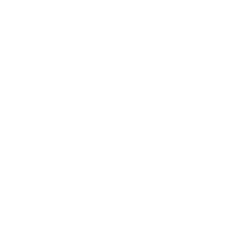 feature-item-1