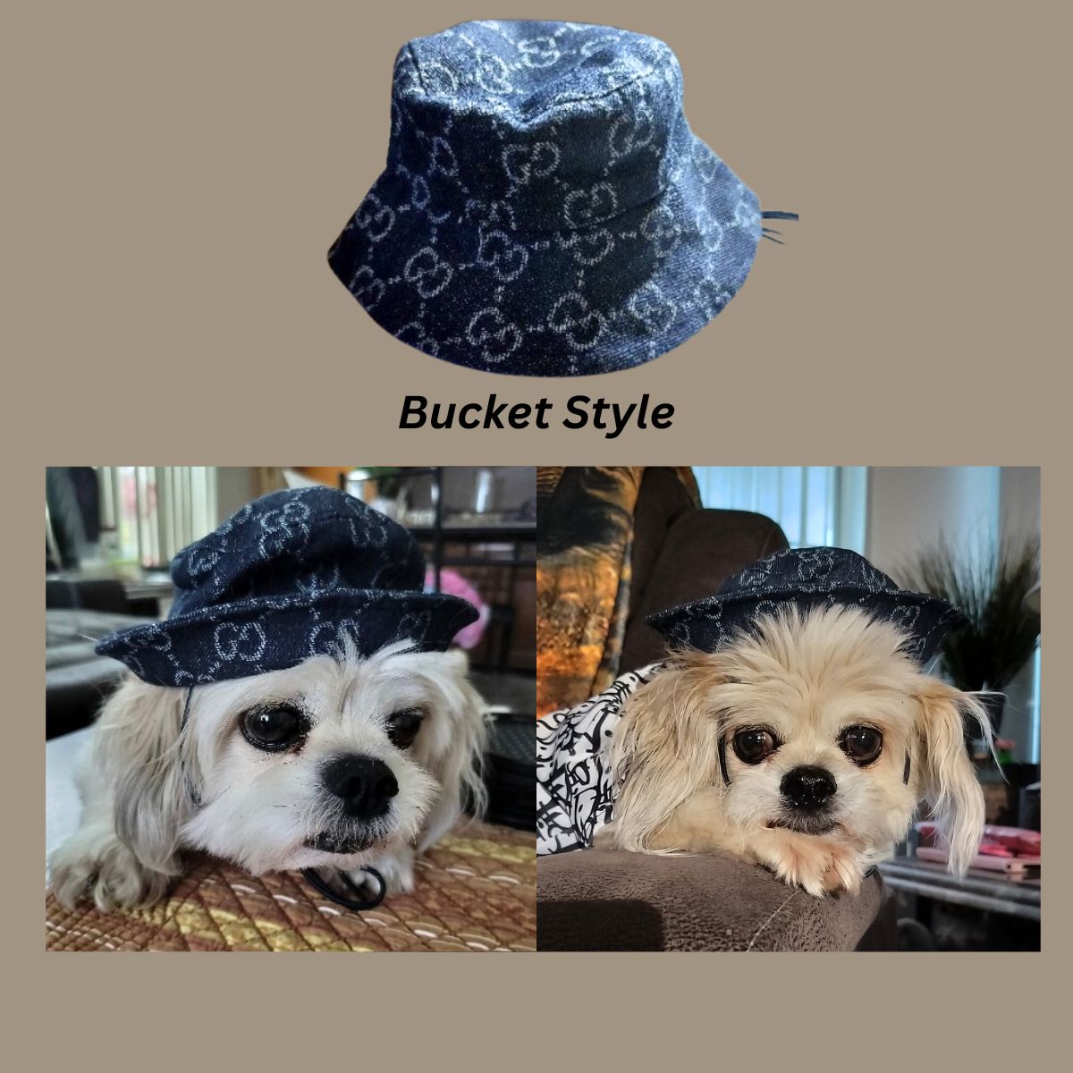 Dream Dog, Luxury Designer Inspired Replicas Adjustable Dog Bucket Style Hat, Beret Style Hat, Visor Style Hat Cap Blue or Brown Colors, Small and Medium Breeds