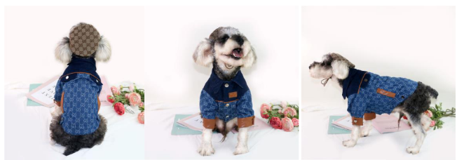 Dream Dog Luxury Designer-inspired Dog Jean Jacket Fashion Clothes Pet Cats Super Soft and Warm, Sizes X-Small to XX-Large