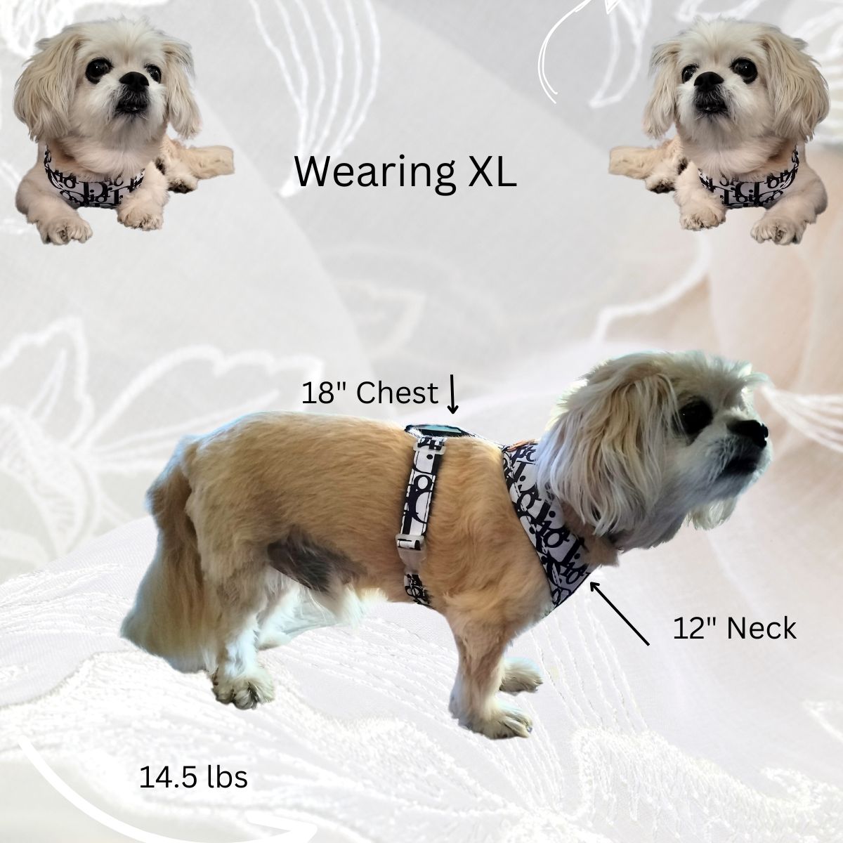 Dream Dog Luxury Designer-Inspired Replica Dog Harness and Leash Set Lightweight, Soft, No Choke, Adjustable for Puppies, Cats and Small Dogs, Shih-Tzu, Yorkie, Chihuahua, 2 Styles
