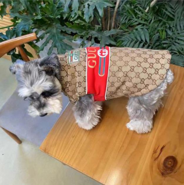 Dream Dog Luxury Designer-Inspired Replica Dog Padded Vest Clothes Pet Apparel Soft Pet Warm Vest, Free Leash, S to XX-Large, Small-Medium Breeds Red/Brown and Green/Brown