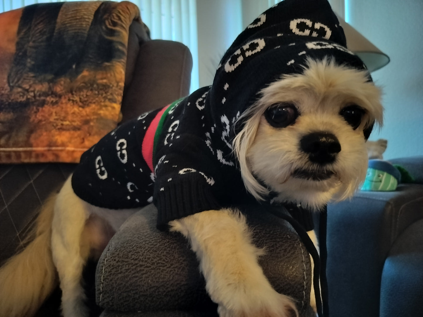Dream Dog Luxury Designer-Inspired Replica. Fashion Dog Hooded Sweaters Cat Dog Pet Clothes Apparel, Pet Warm Hoodie Clothes, S to XXL, Small-Medium Breeds, Beige, Brown & Black