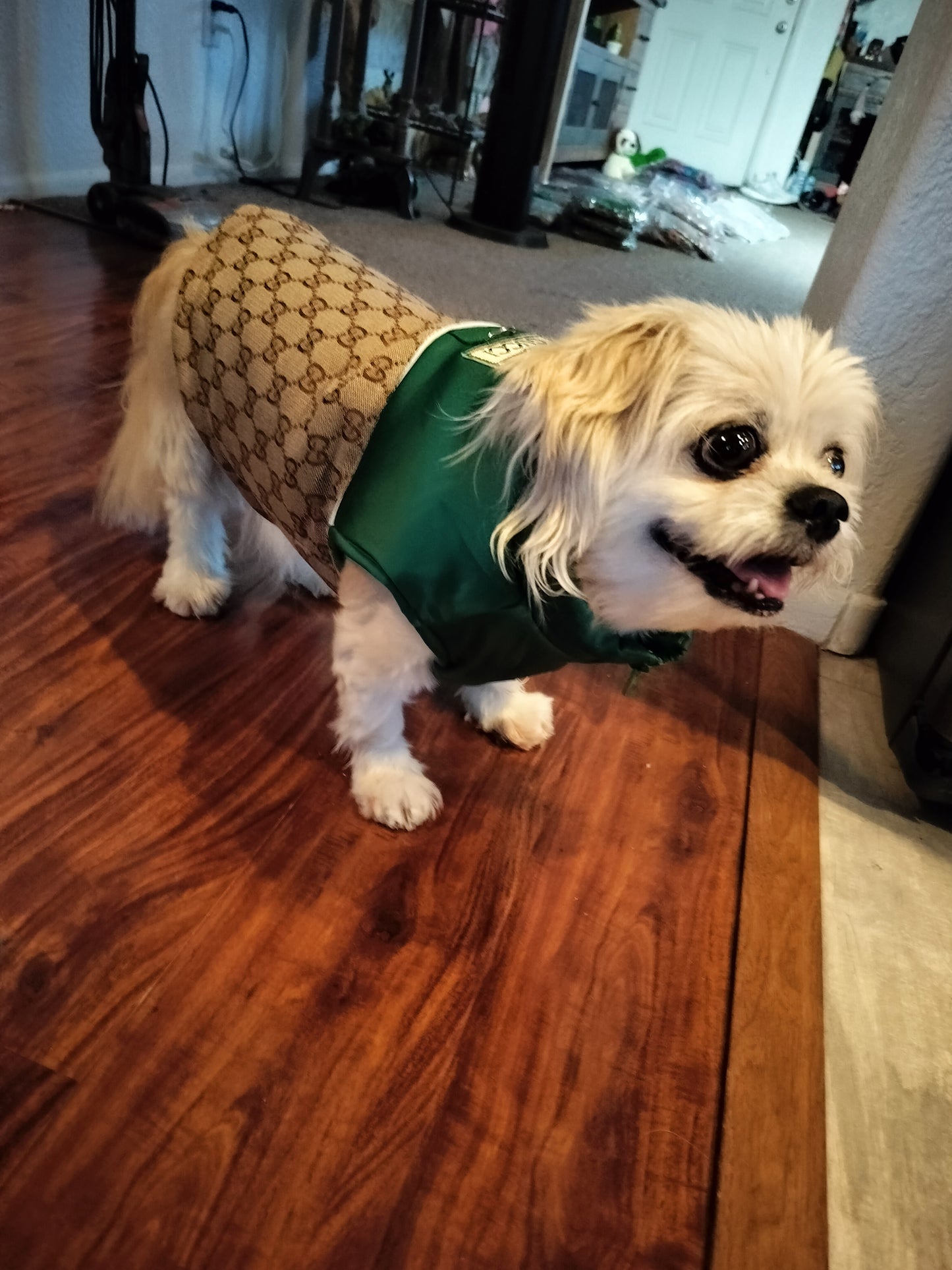 Dream Dog Luxury Designer-Inspired Replica Dog Padded Vest Clothes Pet Apparel Soft Pet Warm Vest, Free Leash, S to XX-Large, Small-Medium Breeds Red/Brown and Green/Brown