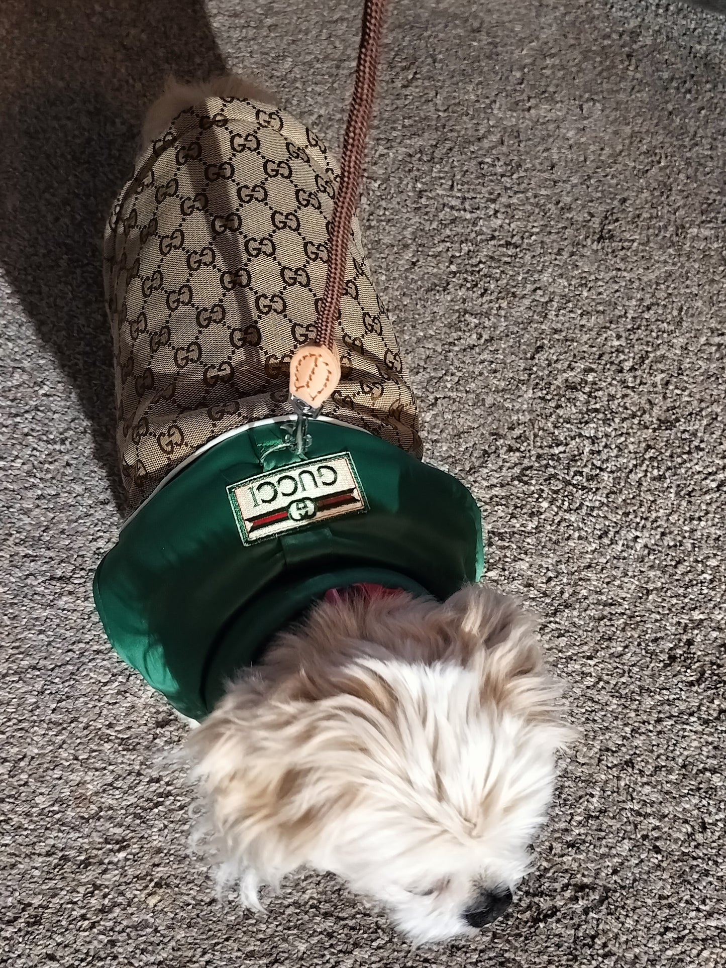 Dream Dog Luxury Designer-Inspired Replica Dog Padded Vest Clothes Pet Apparel Soft Pet Warm Vest, Free Leash, S to XX-Large, Small-Medium Breeds Red/Brown and Green/Brown
