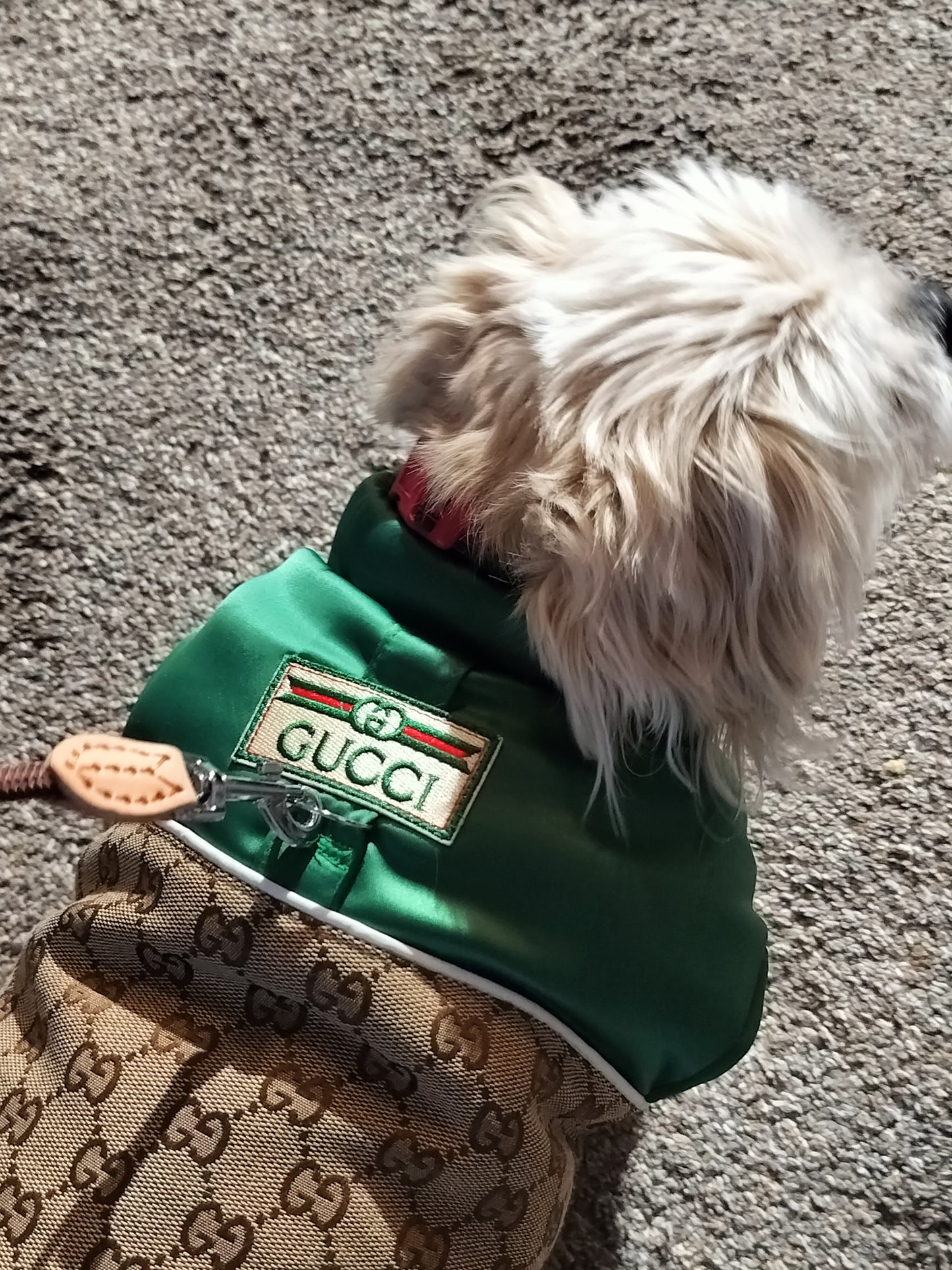 Dream Dog Luxury Designer-Inspired Replica Dog Padded Vest Clothes Pet Apparel Soft Pet Warm Vest, Free Leash, S to XX-Large, Small-Medium Breeds Red/Brown and Green/Brown