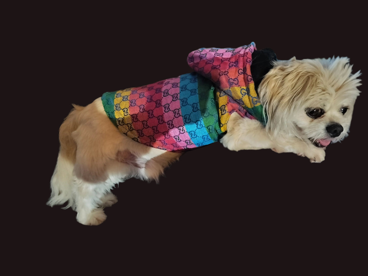 Dream Dog Luxury Designer- Inspired Replica Dog Padded Rainbow Coat/Jacket/Vest, Pet Clothes Apparel Hoodie, Hooded Vest Pet Winter Hoodie, Small to Medium Dogs, Cats, Pets, XS to 3XL