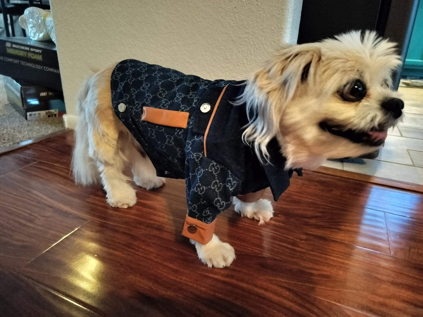 Dream Dog Luxury Designer-inspired Dog Jean Jacket Fashion Clothes Pet Cats Super Soft and Warm, Sizes X-Small to XX-Large