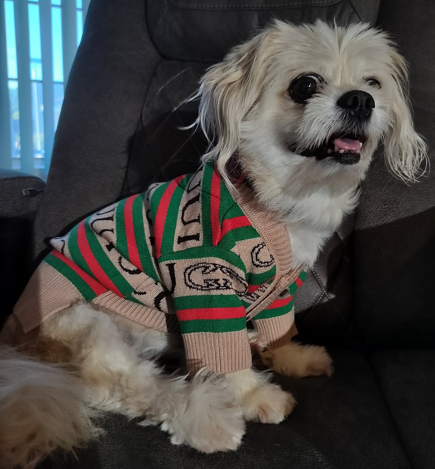 Dream Dog Luxury Designer- Inspired Replica Button Dog Sweater Cat Pet Clothes Apparel Beige with Red and Green Stripe, Sizes XS to 2XL, Small Medium Breeds
