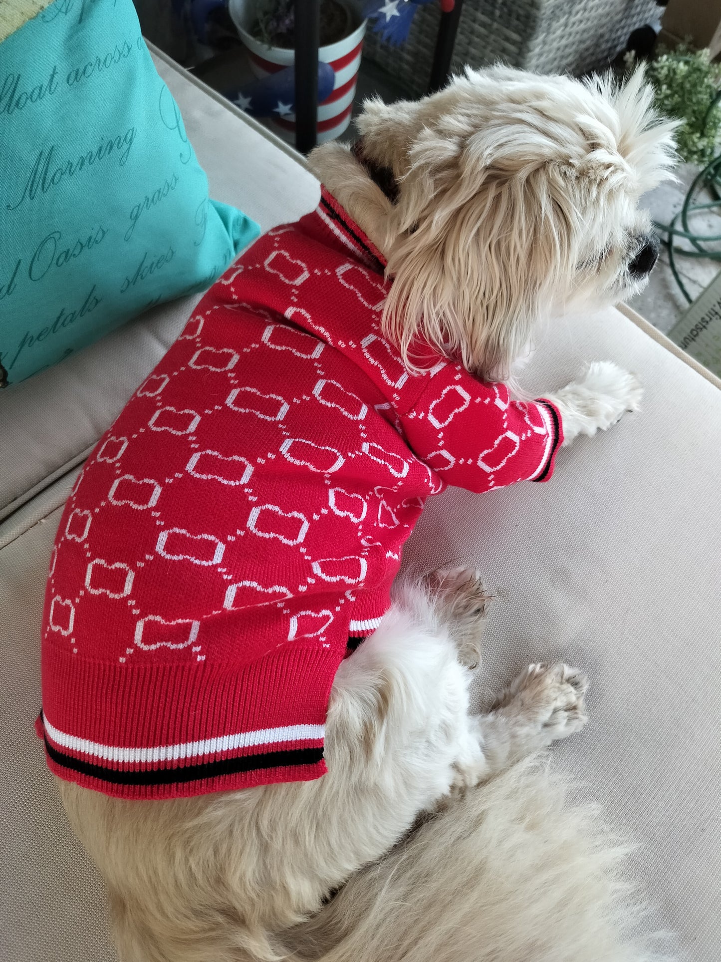 Dream Dog Luxury Designer-Inspired Replica Dog Button Sweater Red or Beige, Cat Pet Clothes Apparel, Soft and Warm Sweater Clothes, Small to Medium Breeds, Perfect All Year, Small to XX-Large