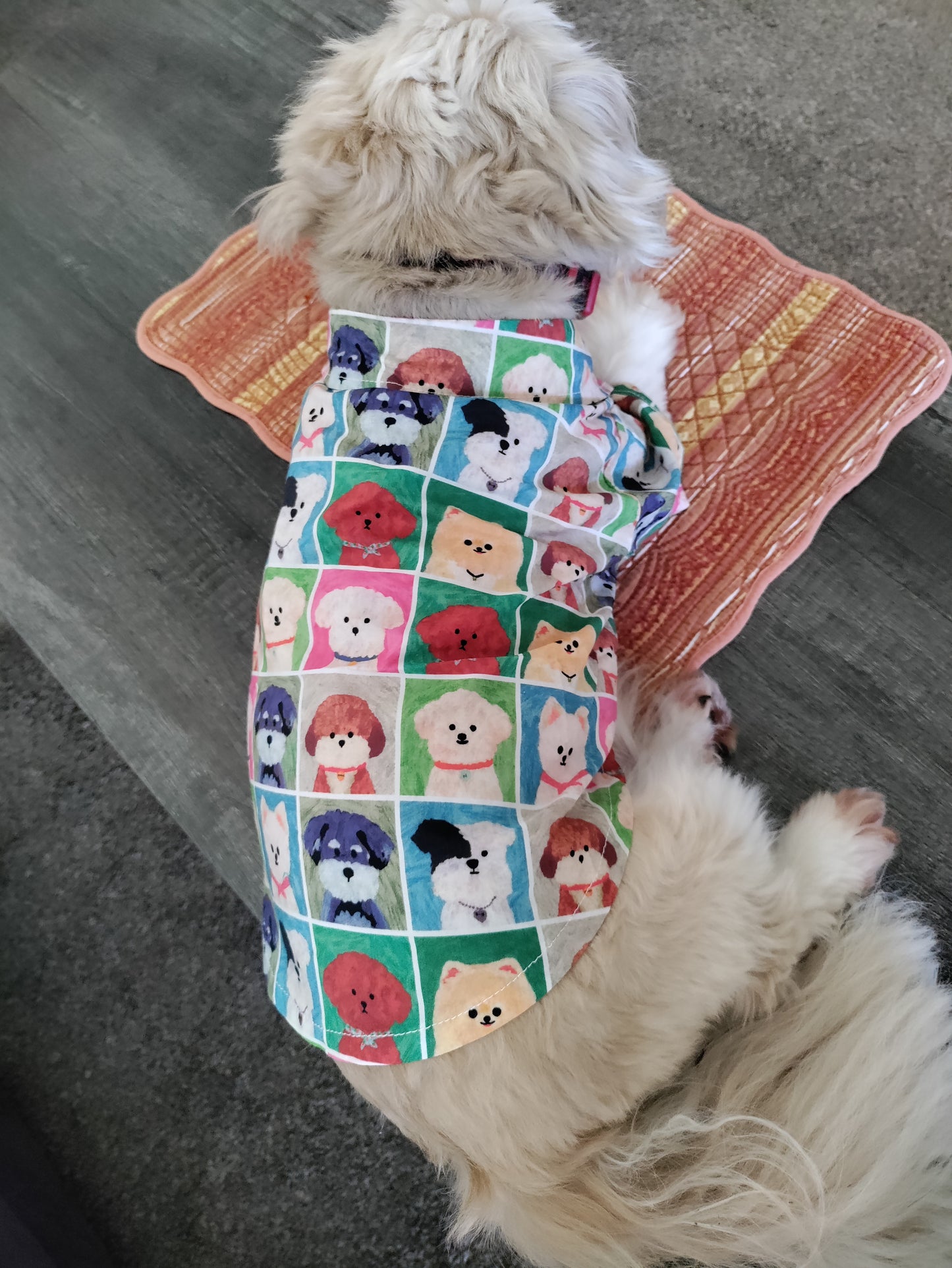 Dream Dog Luxury Cartoon Tawney Bear Cotton Dog Polo Shirt Pet Summer Party Stylish Clothes, X-S to XX-Large, Small - Medium Breeds