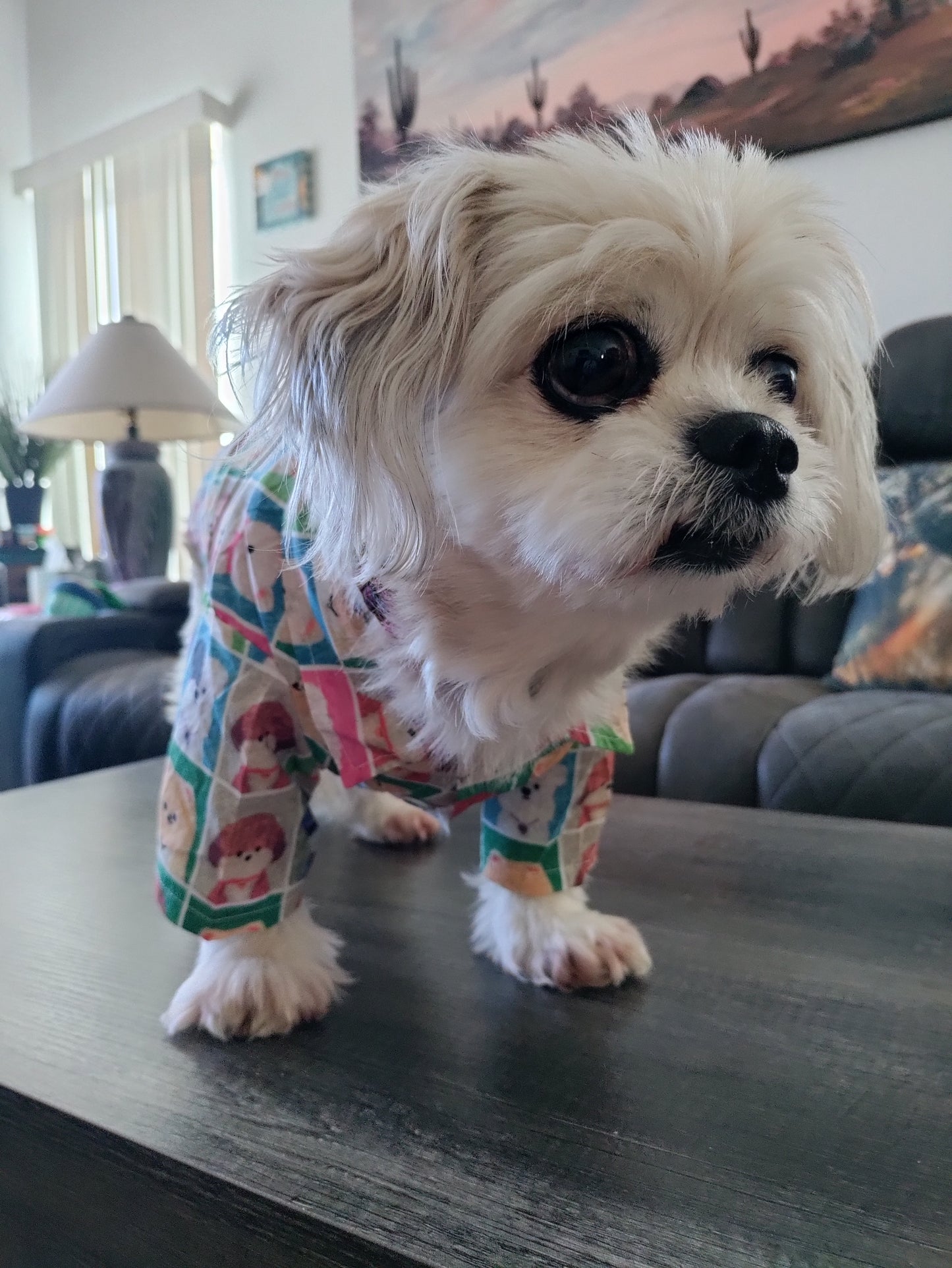 Dream Dog Luxury Cartoon Tawney Bear Cotton Dog Polo Shirt Pet Summer Party Stylish Clothes, X-S to XX-Large, Small - Medium Breeds