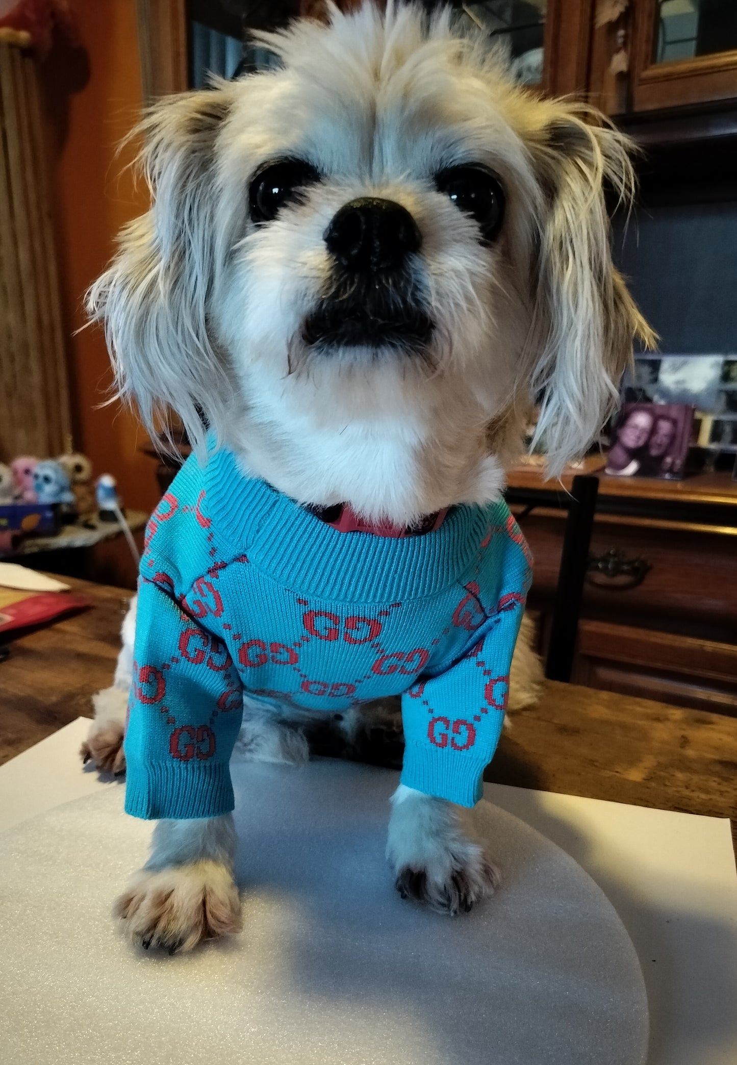 Luxury Designer-Inspired Replica Fashion Sweater Dog Apparel Pet Clothes,Blue with Red, Super Soft, Small Breeds, Sizes from Small to XX-Large Parent ASIN: B0DTPG7RWK Parent SKU: Dream_parent3
