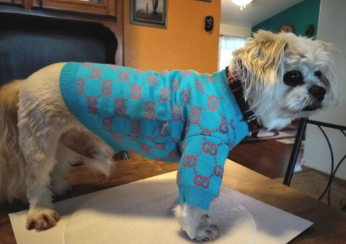 Luxury Designer-Inspired Replica Fashion Sweater Dog Apparel Pet Clothes,Blue with Red, Super Soft, Small Breeds, Sizes from Small to XX-Large Parent ASIN: B0DTPG7RWK Parent SKU: Dream_parent3