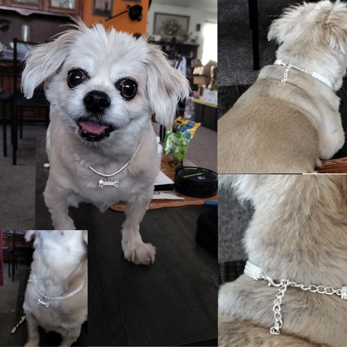 Dream Dog Pet Collar with Rhinestones Diamonds, Adjustable Crystal Diamond Pendant Wedding Cat Dog Necklace Jewelry