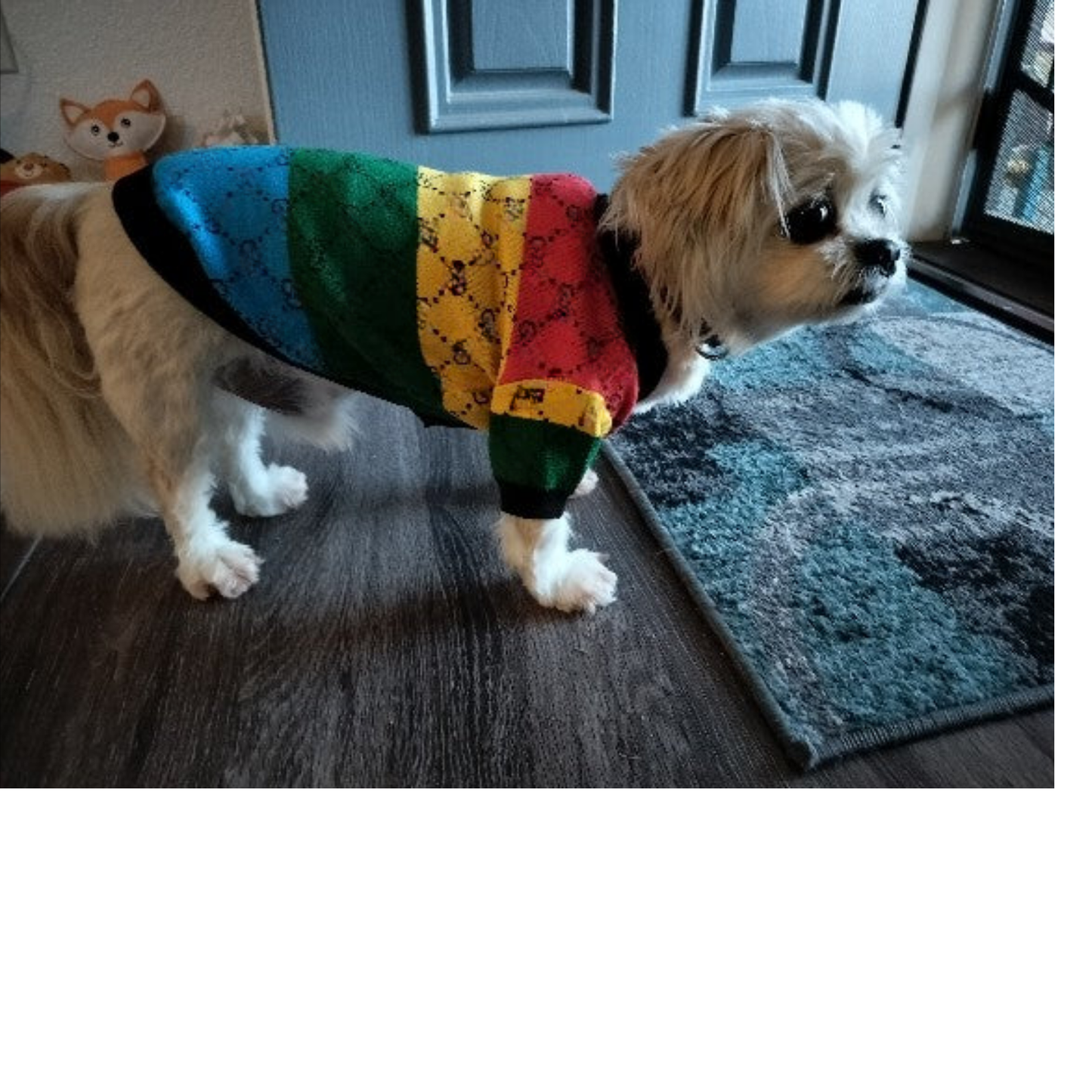 Dream Dog Button Sweater Multi-Color Stripe Clothes Cat Clothes Apparel Super Soft Pet Sweater, Perfect for Any Occasion