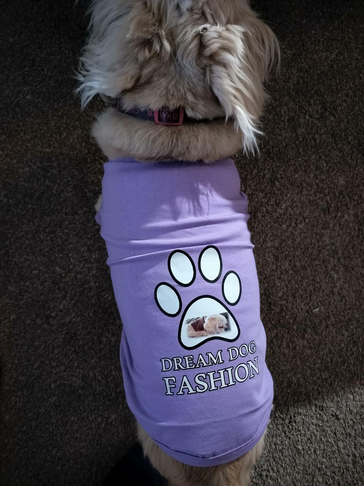 Dream Dog Luxury T-Shirt, Cat Kitten Dog Puppy Pet Clothes Apparel, Perfect for Everyday, Medium to 5XL. Medium Breeds (XXXX (4)-Large)