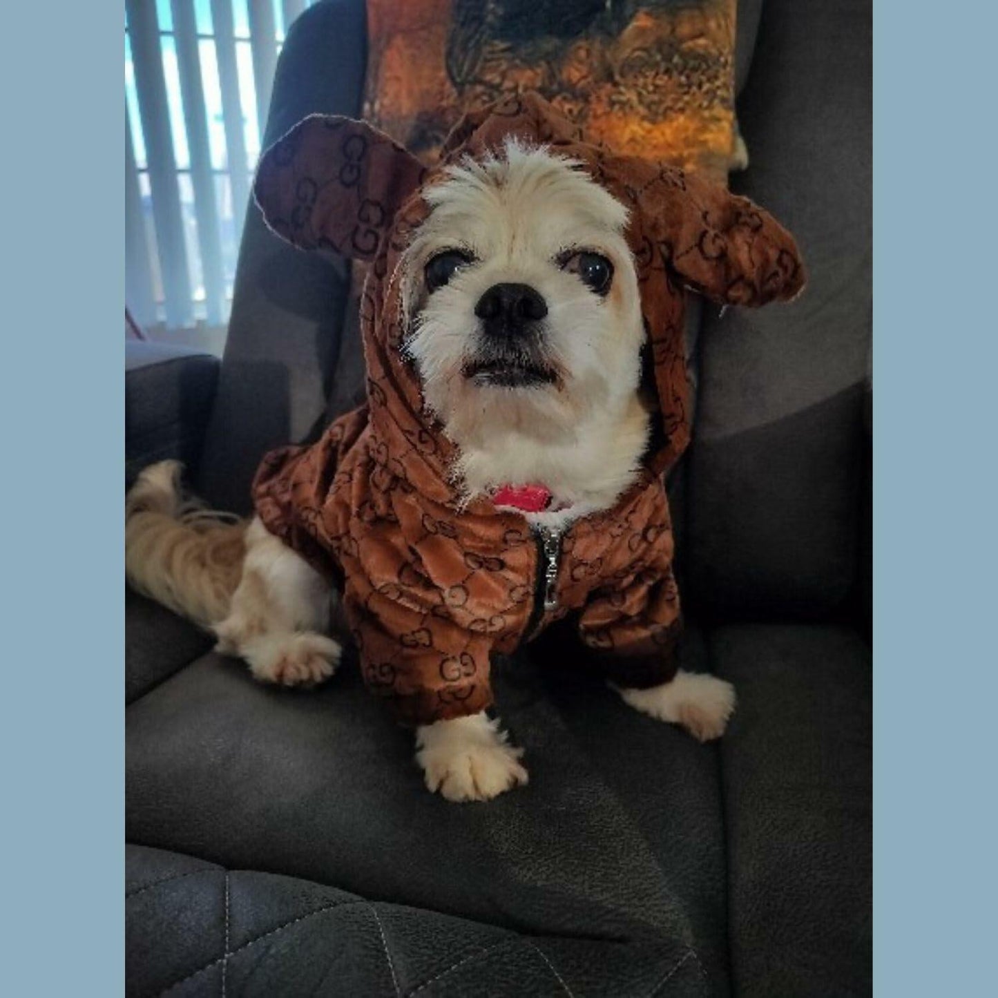 Luxury Designer-Inspired Replica.Dream Dog Hoodie Jacket Coat Zipper Easy On/Off Designer Inspired Ears and Lined Soft Jacket Design Warm Clothing Pink and Brown XS to 3XL (Brown, 3XL)