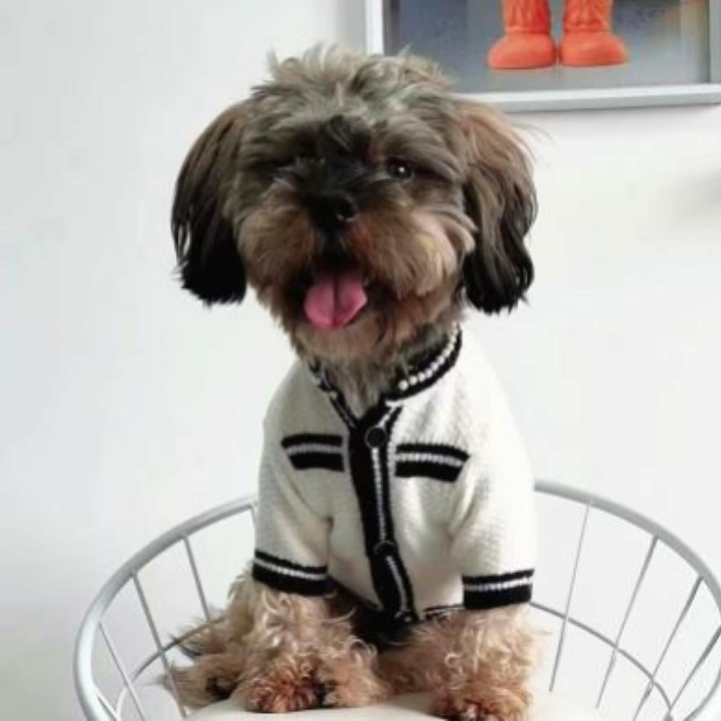 Dream Dog, Small Breed Only - Luxury Sweater - XS to XL - Black and White Sweaters with Pearls, Pet Cat Dog Clothes, Super Cute & Soft