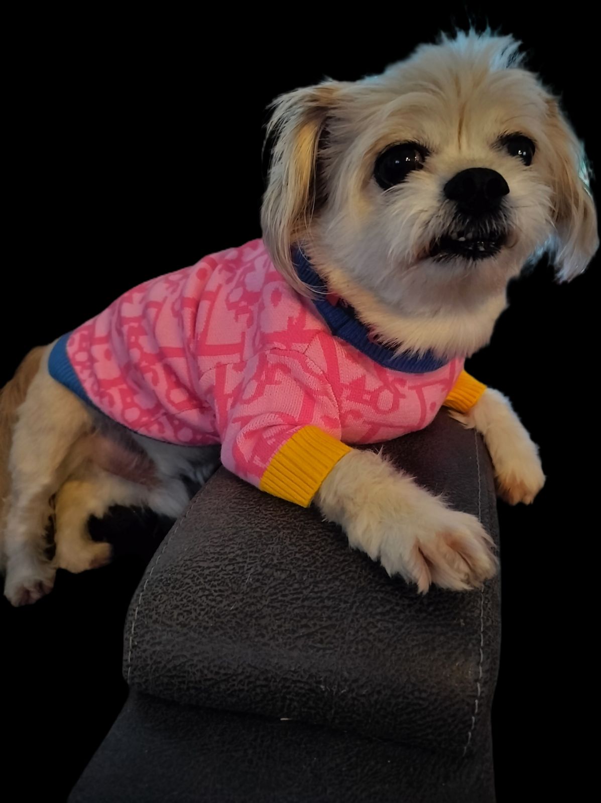 Luxury Designer CD Dog Sweater Fashion Clothes Pet Cats Super Soft Warm Pink