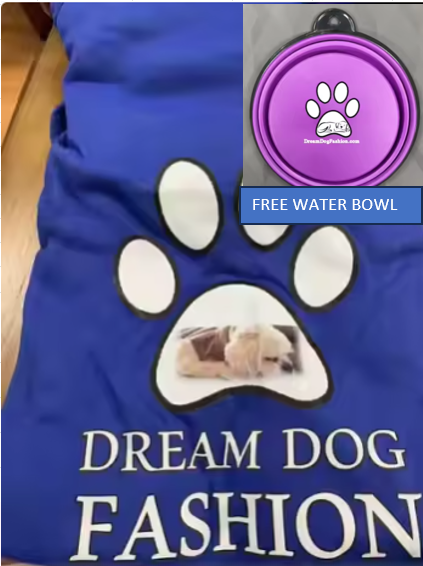 Dream Dog Soft Sweatshirt Clothes for Small Pet Cat Dog XS-9XL Free Water Bowl