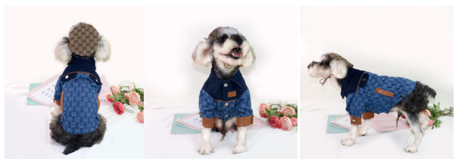 Luxury Designer Fashion Dog Jean Denim Jacket Clothes Pet Clothes Soft