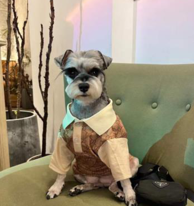 Luxury Fashion Dog Dress Shirt High Quality Pet Clothes Apparel, Perfect for the Holidays