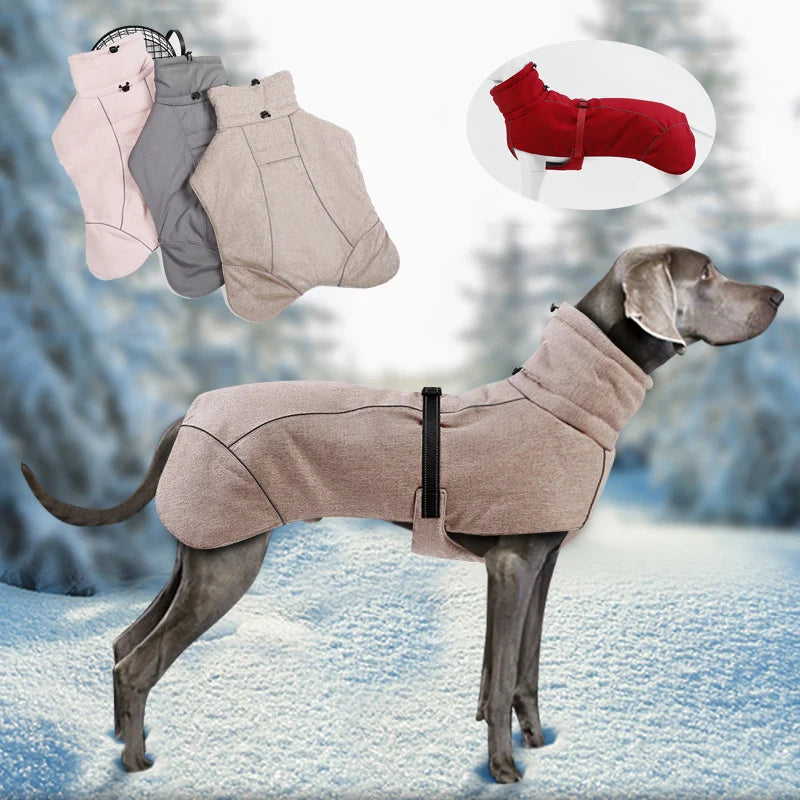 High-Quality Luxury Winter Dog Jacket for Medium Large Dogs - Boutique Outfits, Weimaraner's and Greyhounds