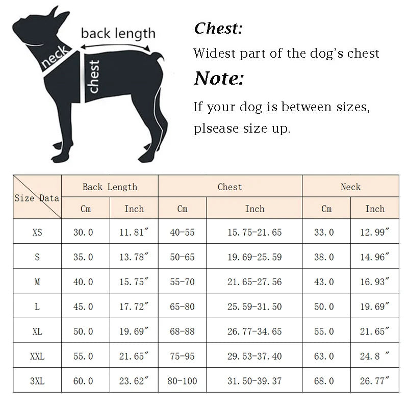 High-Quality Luxury Winter Dog Jacket for Medium Large Dogs - Boutique Outfits, Weimaraner's and Greyhounds