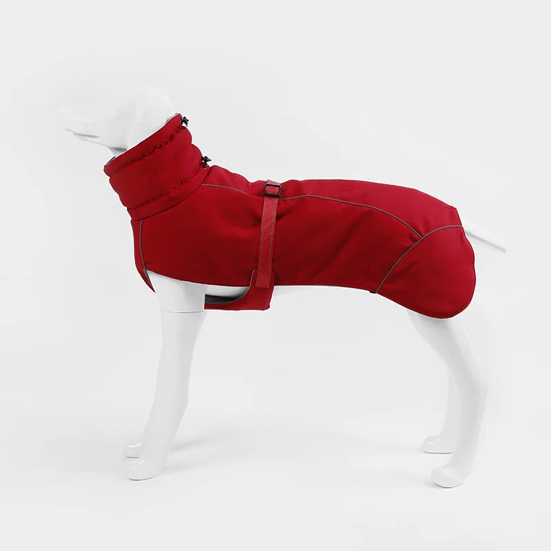 High-Quality Luxury Winter Dog Jacket for Medium Large Dogs - Boutique Outfits, Weimaraner's and Greyhounds