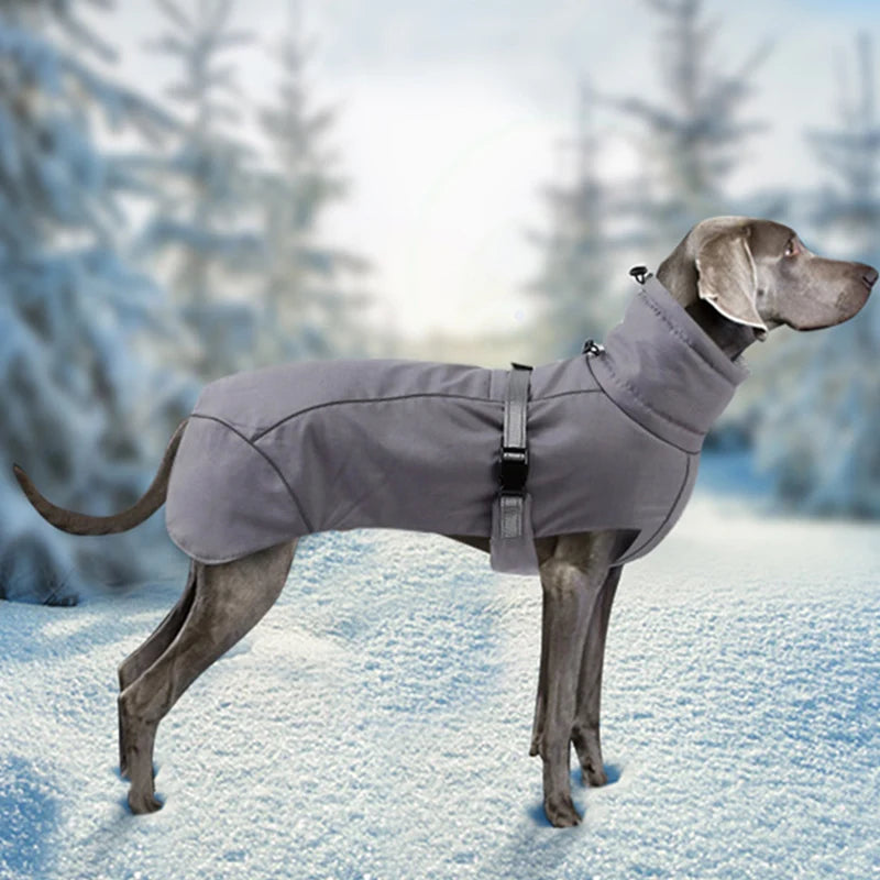 High-Quality Luxury Winter Dog Jacket for Medium Large Dogs - Boutique Outfits, Weimaraner's and Greyhounds