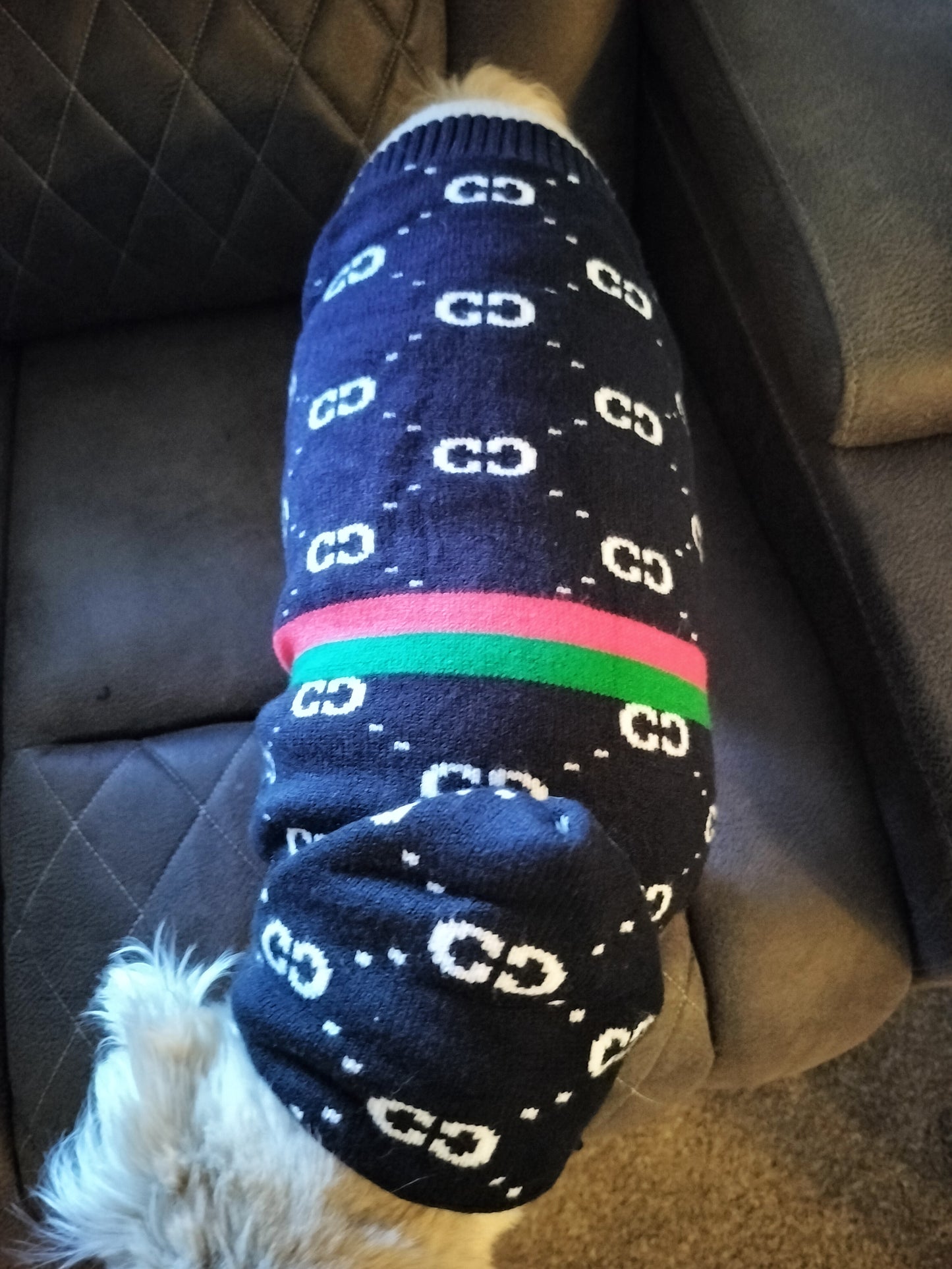 Luxury Designer Gucci Inspired Dog Cat Sweaters High Quality CC Pet Cloth Apparel with Hoodie