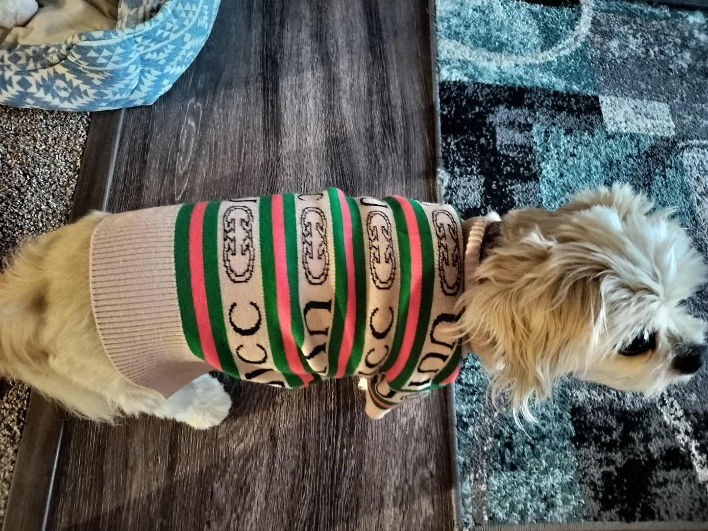 Luxury Designer Inspired Dog Sweater Red Green Stripe Clothes Pet Clothes Apparel Soft