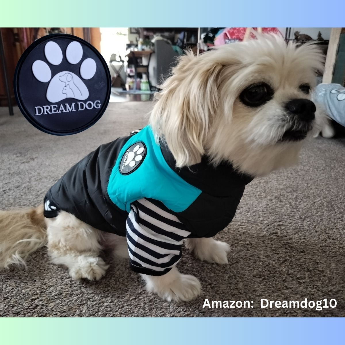 Dream Dog Collection Luxury Fashion Dog Vest, Cat Pet Clothes Apparel, Blue, Pink, Red, and Yellow, Small to Large Breeds, S to 5XL