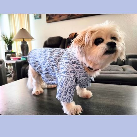 Dream Dog Luxury Desginer-Inspired Replica Summer Snap Button Shirt, Dog, Cat, Pet Clothes Apparel Soft Blue or Pink, Small Breeds, Small to XX-Large