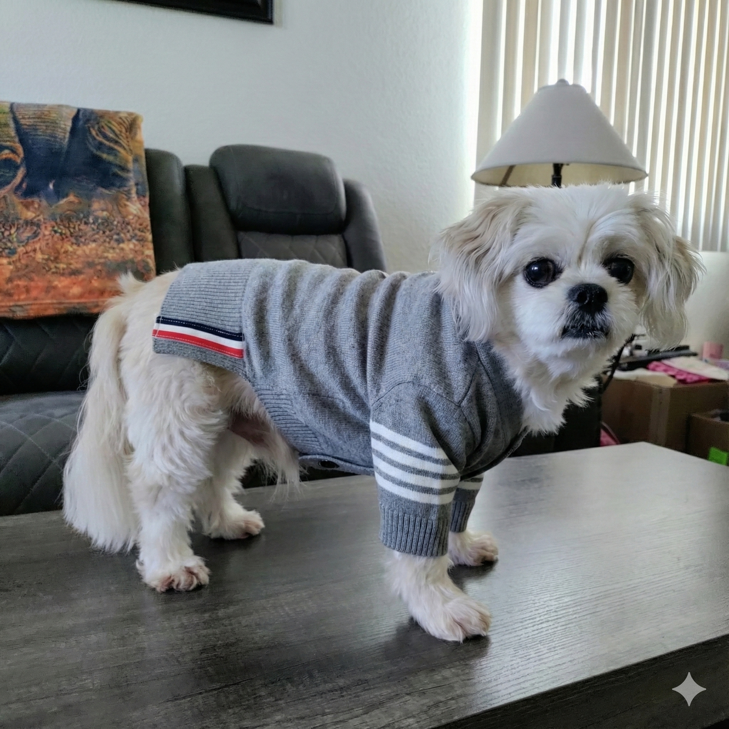 Dream Dog, Small Breed Only - Luxury - S to XXL - Luxury Gray w/Some Stipes, Sweater Cat, Pet, Dog Clothes