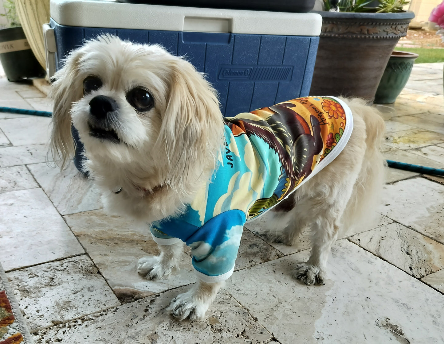 Dream-Dog Luxury Arizona Collection Cotton Dog Javelina, Snake for Pets, Party Stylish Clothes, Sizes Sm to Large, Small Breeds