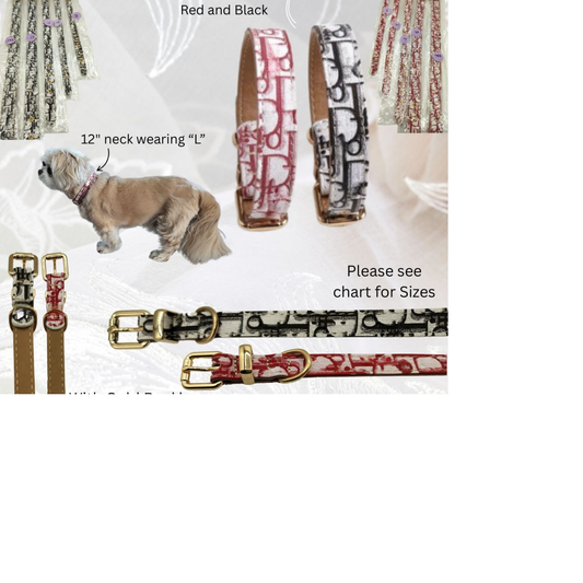 Dream Dog Collar, Adjustable, for Cats, Puppies and Small to Medium Dogs, Collar with Metal Buckle, Black and Red