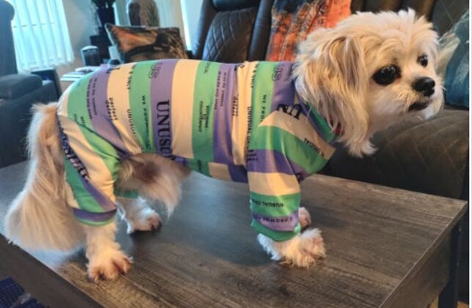 Luxury Summer Dog Pet Apparel T-Shirt or Pajamas Stripe Designers Dog Clothes