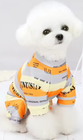 Luxury Summer Dog Pet Apparel T-Shirt or Pajamas Stripe Designers Dog Clothes