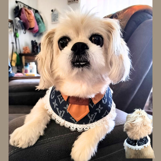 Dream Dog Luxury Dog Pet Cloth Bandana Over The Collar Clothes Designer-Inspired Replicas S to XXL, Blue or Brown Parent ASIN: B0F5NFK76X Parent SKU: 00497