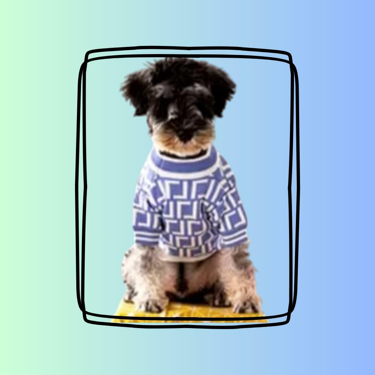 Dream Dog Luxury Desgner-Inspired Replica Pet Sweater Light Blue Fashion Clothes Dog Cats, Super Soft and Warm, XS-XXL, Small-Medium Breeds