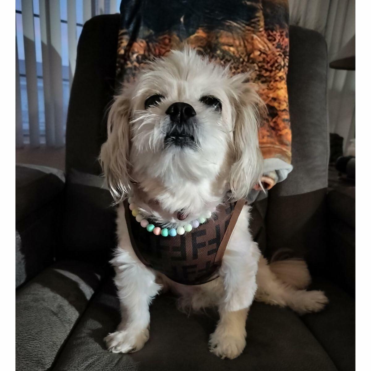 Luxury Designer-Inspired Replica.Dream Dog Summer Shirt Vest, Dago, Sleeveless Dog Cat Shirt Pet Luxury Clothes Pullover Apparel Super Soft, Brown, XS to 3XL (Small)