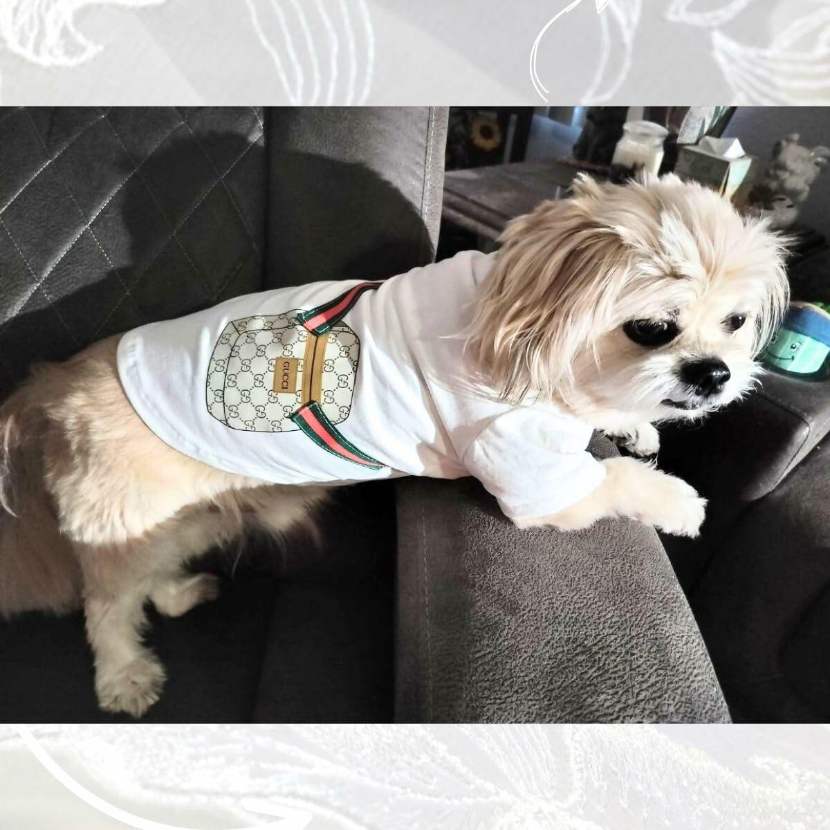 Luxury Designer-Inspired Replica Fashion Dog Summer Casual Shirt T-Shirt Outfit, Cat Pet Clothes Apparel, Black or White Holding a Sachet (on Fabric), Small Breeds, Small to XX-Large (White, Small)