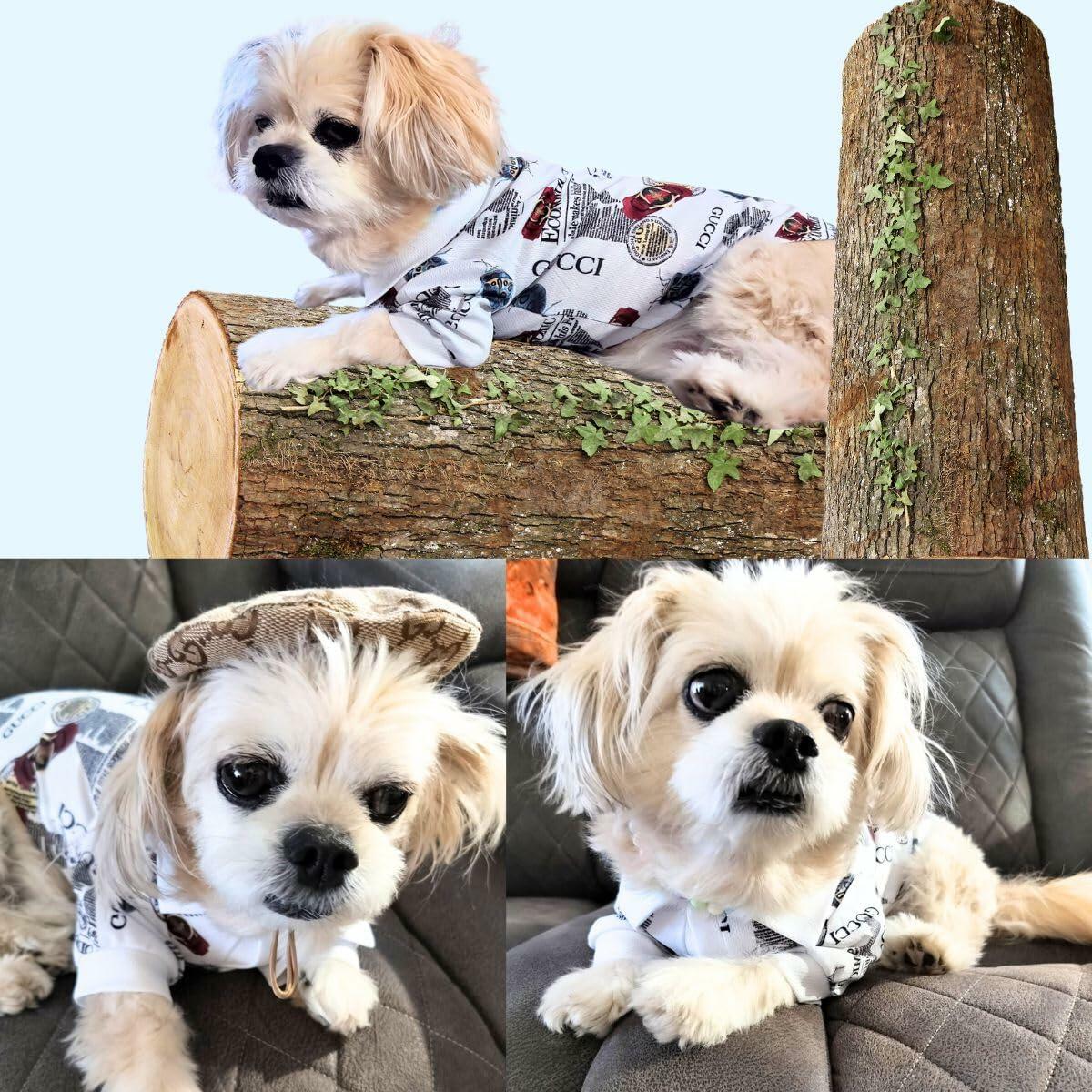 Luxury Designer-Inspired Replica.Dream Dog Luxury Dress Shirt Pet Summer Party Stylish Clothes, X-S to XX-Large, Small - Medium Breeds and French Bulldog Sizes (Large)