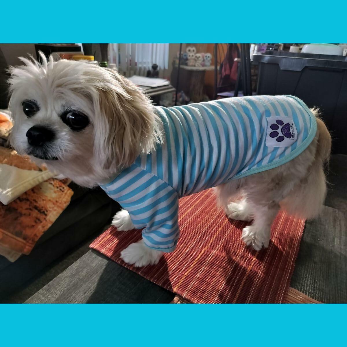 Dream Dog Small Breeds - Luxury Dog Summer Casual Striped Shirt T-Shirt Outfit, Cat Pet Clothes Apparel, Blue, Black, Green, Orange, Red and Yellow, Small Breeds, Small to XX-Large )